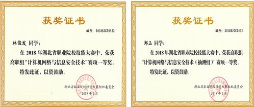 连接世界的血脉 深入剖析计算机网络技术的影响与未来